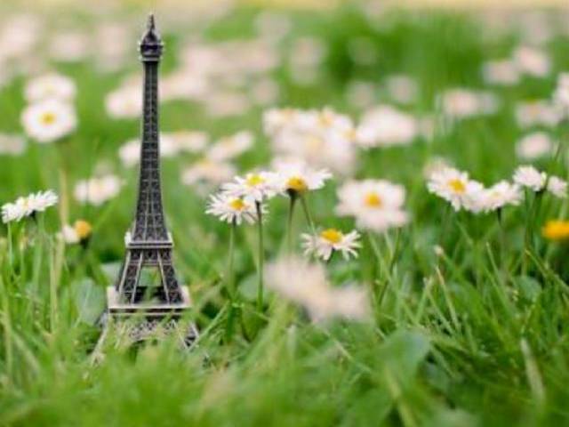 Our Green Paris Package